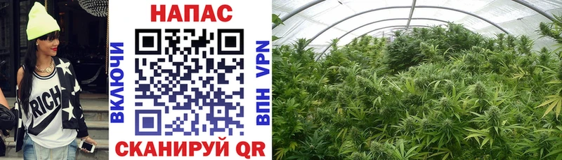 Все наркотики Назрань ГАШ АМФЕТАМИН A PVP Бошки Шишки Меф мяу мяу Кокаин