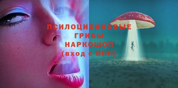 mix Надым