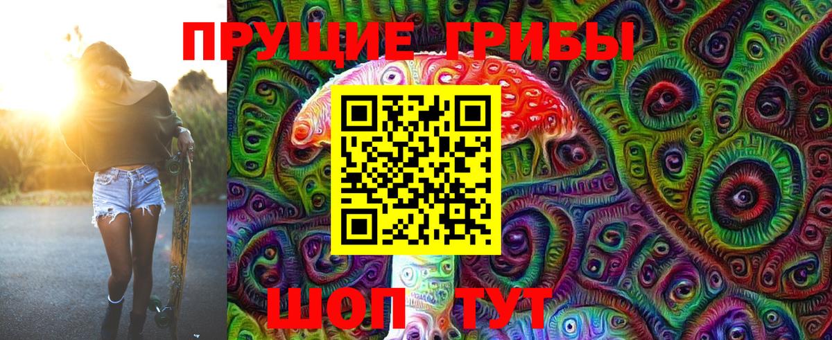 Псилоцибиновые грибы Psilocybe  наркотики  Галлюциногенные грибы Psilocybine cubensis  Назрань  Вход с VPN 