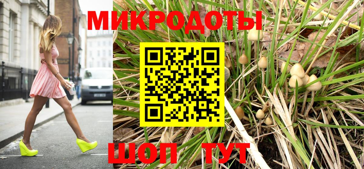 Псилоцибиновые грибы Cubensis  Назрань  Галлюциногенные грибы MAGIC MUSHROOMS 