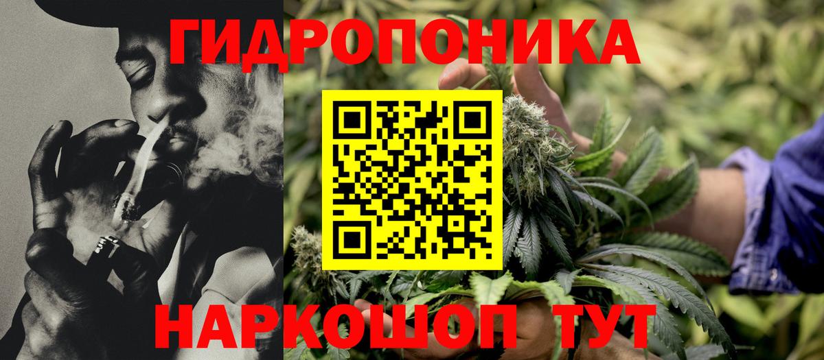 Шишки марихуана индика Назрань